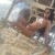 guapa escort latina caliente en Madrid 